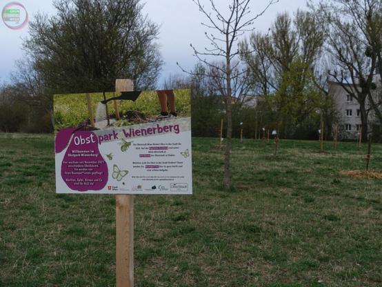 Wiese mit Bäumen und Schild Obstpark Wienerberg