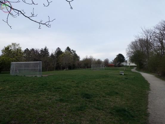 Fußballwiese mit Toren