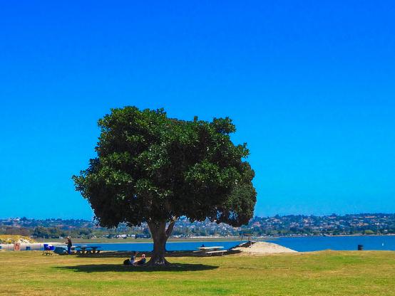 Mission Bay Morning 
San Diego California