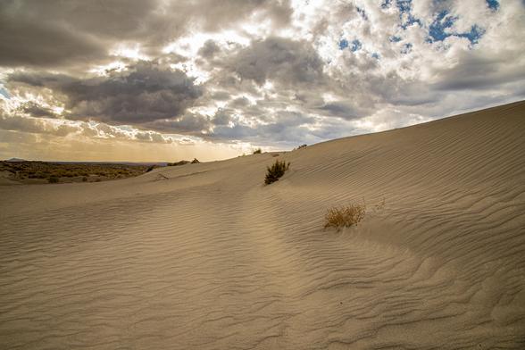 This image captures the striking striations in wind-carved sand at the edge of the Christmas Valley Sand Dunes in Oregon’s high desert. I stopped here to stretch my legs while heading back to Northern California and was immediately drawn to the texture and lines shaped by erosion. A steady wind made it feel like I brought half the dunes back with me—sand was blowing everywhere. The moody sky came courtesy of a low-pressure system lingering with occasional showers. These dunes cover about 11,000 acres and are popular with off-highway vehicle enthusiasts.