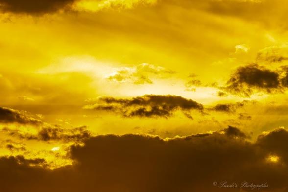 "This image captures a dramatic sky during what appears to be a sunset or sunrise. The scene is filled with rich golden and yellow tones, complemented by clouds that vary in density and texture. Some clouds are darker and more defined, while others are lighter and diffused, creating an intriguing interplay between light and shadow. The overall effect is strikingly atmospheric, with a feeling of both warmth and depth. The image is marked with a watermark in the bottom right corner that reads "© Swede's Photographs," adding a personal touch to the piece." - Copilot