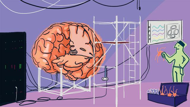 A construction site for the brain, with a partly constructed brain viewed from the front right side. The brain is suspended on scaffolding and the frontal part of the right lobe is missing. On the left of the brain, there is a large black computer. The brain is hooked to the computer through wires, and the wires run further along to the right side of the image, where we see a monitor displaying some EEG traces and some circuits. In between the brain and the monitor is a large white scaffolding, with a TMS coil hanging from it. In front of the monitor there is a green man holding a neuron and in front of the man, there is a toolbox with ions and neurons. The background color is purple-ish?
