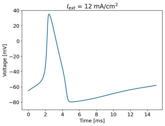 Plot of membrane voltage over time in response to an external current stimulus of 12 mA/cm². The x-axis shows time in milliseconds (ms), ranging from 0 to 15 ms, and the y-axis shows voltage in millivolts (mV), ranging from -80 mV to 40 mV. The blue curve starts at around -65 mV, rapidly rises to a peak near 40 mV around 2.5 ms, then falls sharply to a minimum near -80 mV around 4 ms, followed by a slow partial recovery. The graph illustrates the typical shape of an action potential generated in a neuron-like membrane model under stimulation.