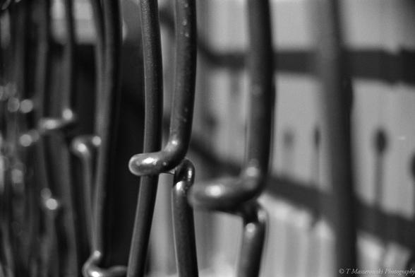 Nikon F2 w/50mm f/1.4 Nikkor on Foma 400 (@200)