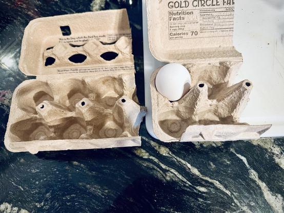 2 egg cartons I cut down to make a holder for up to 4 eggs or 6. One egg is in the carton for 4 eggs. Gray formed cardboard egg cartons set on black granite counter with white cutting board on right.