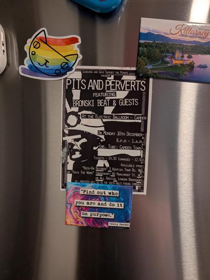Photo of a postcard magnetized to a fridge. The postcard is a replica of the promotional poster for the "Pits and Perverts" gala from the mid-1980s in London. The text says "Lesbians and Gays Support the Miners Present: Pits and Perverts: Featuring Bronski Beat & Guests at the Electric Ballroom - Camden on Monday 10th December - 8 p.m. - 1 a.m. (NR. Tube: Camden Town), Tickets - 4.50 (unwaged - 2.50) Available from: Rock-On Records 3 Kentish Town Rd. NQ1, or Gay's the Word (bookshop) 66 Marchmont St. WC1, or All Radical London Bookshops. All proceeds go to the South Wales Mining Community." It has an illustration of a miner's head wearing a helmet with a light. The whole thing is black and white. The magnets holding the postcard to the fridge include a rainbow striped cat face illustration, a swirly background one with "Find out who you are and do it on purpose" - Dolly Parton, and a photo of Kilarney, Ireland.
