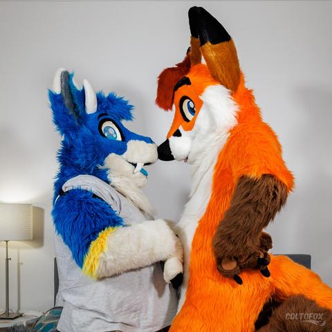 Foxyberry (blue and white fox dragon fursuiter) in partial fursuit booping Colto Fox (orange, white, brown and red fox fursuiter) in full fursuit with both his snoot and his tummy. They're both kneeling on a bed and Colto is looking downward directly at Foxyberry.