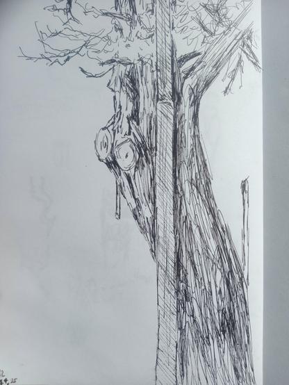 Sketchbook page with tree trunk behind lamp post