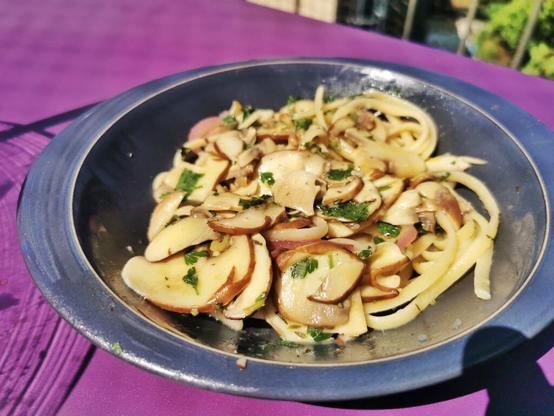Linguine mit Champignons und Petersilie auf einem blaugrauen Teller auf einem violetten Tisch in der Sonne.