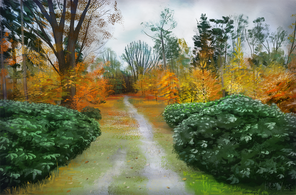 A digital painting of a Dutch park in autumn. Foliage in painterly orange, red and yellow brush strokes make up the background, along with some dark green firs and pines. Two large, low rhododendron bushes occupy the foreground, standing either side of a greyish, muddy path strewn with fallen leaves and tufts of short grass.