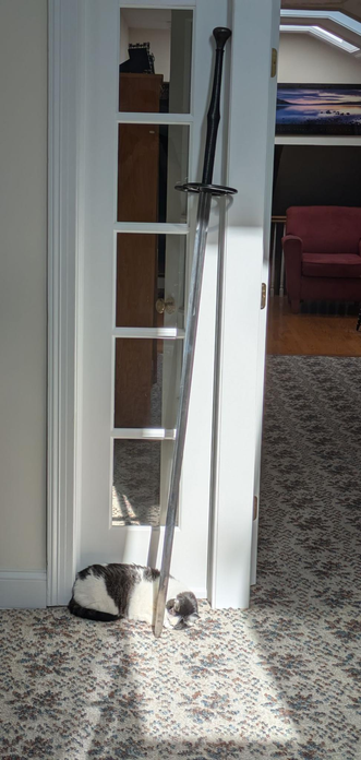 Maggie, world's softest kitty, sleeps gently in the "nest" formed by the blade of a giant two-handed battle sword. The sword is leaning against the frame of a door, and Maggie is between the blade and the wall.