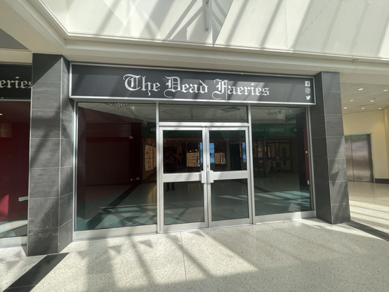 The dead faeries shop empty