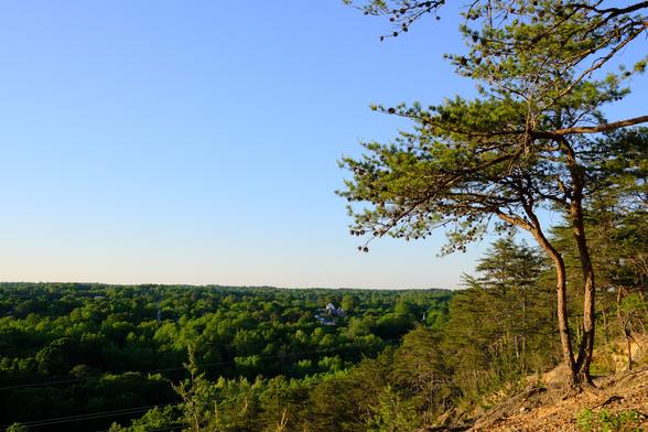 View from an overlook above a forest on a sunny evening