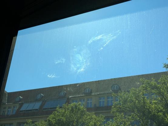 Tauben-förmiger Abdruck auf einer Glasscheibe der Glasfront eines Konferenzraumes, per Zufall entdeckt
