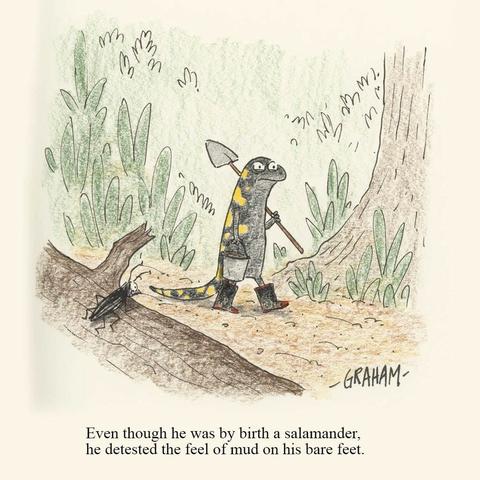 A cartoon illustration of a disgruntled salamander walking with rubber boots. Caption reads "Even though he was by birth a salamander he detested the feel of mud on his bare feet."