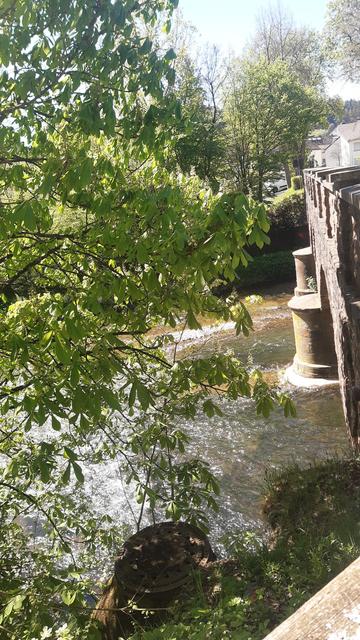Blick auf den Fluss Kyll. Links im Abschnitt grüne Bäume, rechts ist ein Teil der darüberführenden Brücke aus Bruchstein zu erkennen