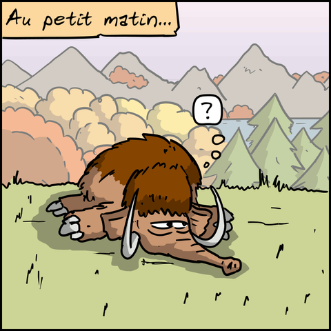 Au petit matin… Le mammouth se réveille, mais il est surpris car Magnon et Jean-Cro ne sont plus là. On ne voit que son visage.