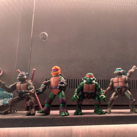 Close-up of Teenage Mutant Ninja Turtles action figurines.