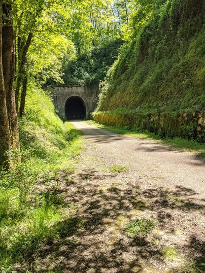 vue de l'entrée d'un tunnel d'une voie verte. Beaucoup de végétation autour