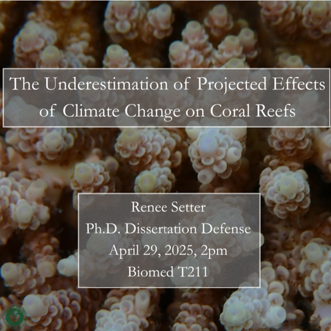 Renee Setter's Dissertation Defense