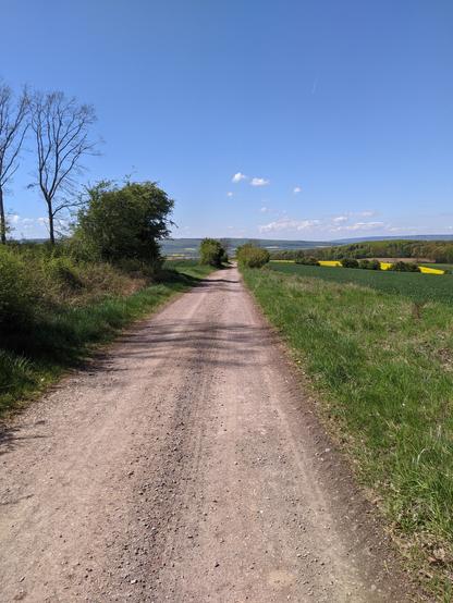 Ein in die Ferne reichender Schotterweg zwischen grünen Feldern. Die Sonne scheint, der Himmel ist blau und in der Ferne sieht man Wälder und einen schmalen Streifen eines blühenden Rapsfelds.