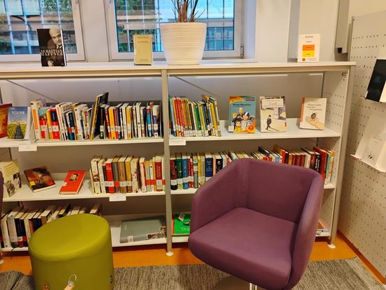 sofà modern al costat de l'estanteria de llibres juvenils a la biblioteca de l'Institut Goethe