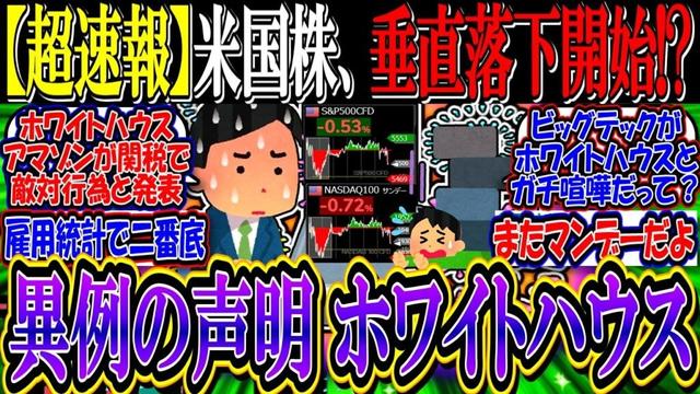 【超速報】米国株、垂直落下し始める…『ホワイトハウスが投資に最高のタイミングと声明』
