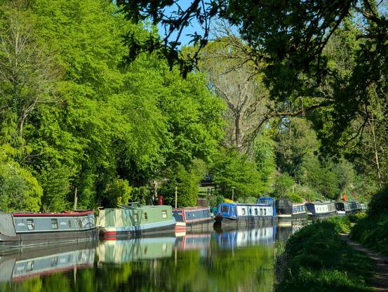 Narrowboats moored on the Kennet and Avon canal, near Pewsey Wharf, Wiltshire, England. end April 2025.