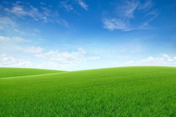 Windows 95 Wallpaper vibes. Shutterstock Credit: Photoongraphy