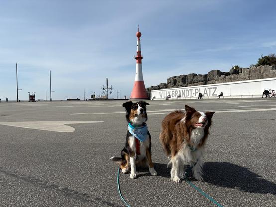 Zwei Hüte Hunde vor Leuchtturm Bremerhaven am Willy Brandt Platz