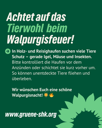 auf grünen Hintergrund ist unten rechts eine hellgrüne stilisierte sonnenblume zu sehen. dazu folgender text: Achtet auf das Tierwohl  beim Walpurgisfeuer! In Holz- und Reisighaufen suchen viele Tiere Schutz – gerade Igel, Mäuse und Insekten. Bitte kontrolliert die Haufen vor dem Anzünden oder schichtet sie kurz vorher um. So können unentdeckte Tiere fliehen und überleben.  Wir wünschen Euch eine schöne Walpurgisnacht! 🌟 🔥