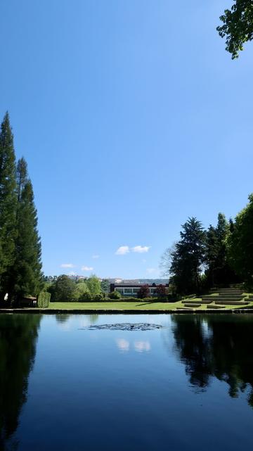 a lake reflecting blue skies and lush green trees