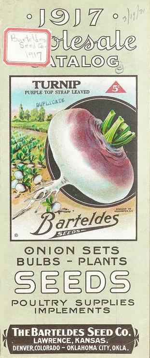 The image is a vintage 1917 wholesale catalog cover for Barteldes Seed Co. The background is a light green color with the title "1917 Wholesale Catalog" prominently displayed at the top in large, bold letters. Below the title, there is a detailed illustration of a purple top strap leafed turnip, with the text "TURNIP PURPLE TOP STRAP LEAVED" above it and a price tag of "5¢" in a red triangle. The turnip is depicted with its roots and green leaves, surrounded by a field of turnips in the background.

The catalog lists various products offered by the company, including "ONION SETS," "BULBS - PLANTS," "SEEDS," "POULTRY SUPPLIES," and "IMPLEMENTS." The company's name, "The Barteldes Seed Co.," is displayed at the bottom, along with locations in Lawrence, Kansas, Denver, Colorado, and Oklahoma City, Oklahoma. A handwritten label in the top left corner reads "Barteldes Seed Co. 1917." The overall design is typical of early 20th-century seed catalogs, with a focus on clear, legible text and detailed illustrations of the products.

Provided by @altbot, generated privately and locally using Ovis2-8B