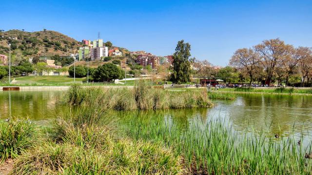 Aquesta imatge mostra un llac serè en un parc, amb una vegetació exuberant de canyes i herbes que voregen les seves ribes. L'aigua és tranquil·la i reflecteix el cel blau clar i els edificis del fons. Al fons, al costat d'un turó, hi ha un conjunt d'edificis residencials de diversos pisos, amb una gamma de colors brillants que contrasten amb el verd de la vegetació i el blau del cel. Al parc, prop del llac, hi ha una zona de descans o cafeteria, amb gent asseguda a les taules