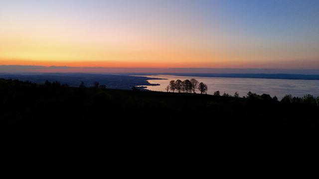 abendstimmung mit einigen bäumen vor dem gegenlicht. dahinter der see