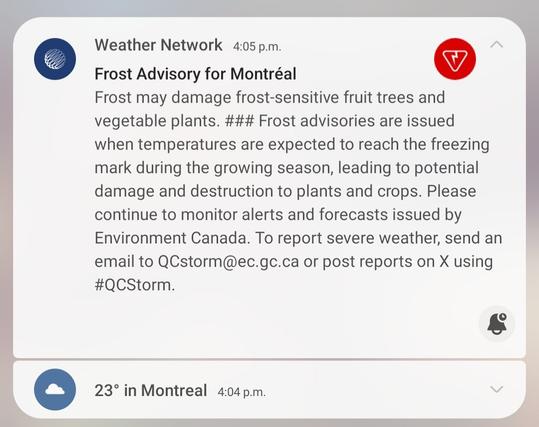 Screencap of wildly contradictory weather statements
