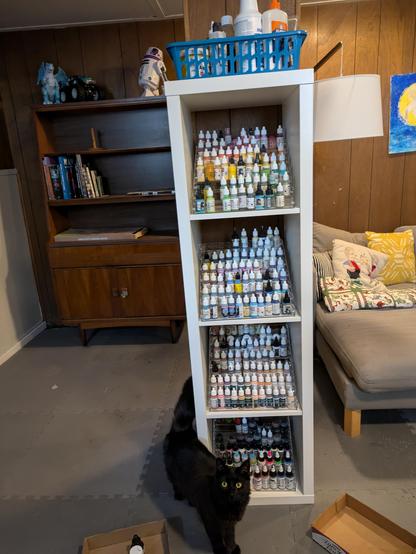 A shelf with four levels, each containing a nail polish rack filled with miniature paints. A black cat stands next to/in front of the shelf.