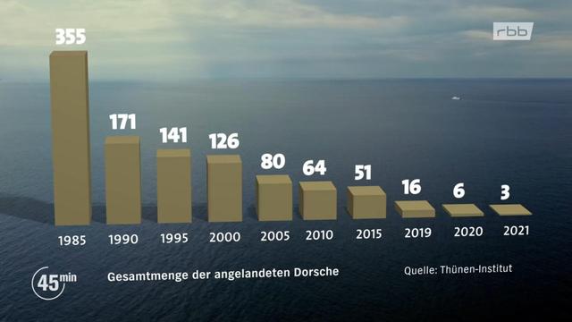 ein Säulendiagramm mit Meereshintergund. Die Säulen werden von links 1985 bis rechts 2021 immer kleiner. Es wurde immer weniger Fisch (Dorsch) gefangen.