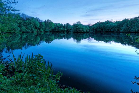 The image shows a serene lake surrounded by trees. The water reflects the sky and the surrounding greenery, giving the scene a tranquil and peaceful atmosphere. The foreground includes some plants and shrubs. It's likely taken during either sunrise or sunset due to the lighting.