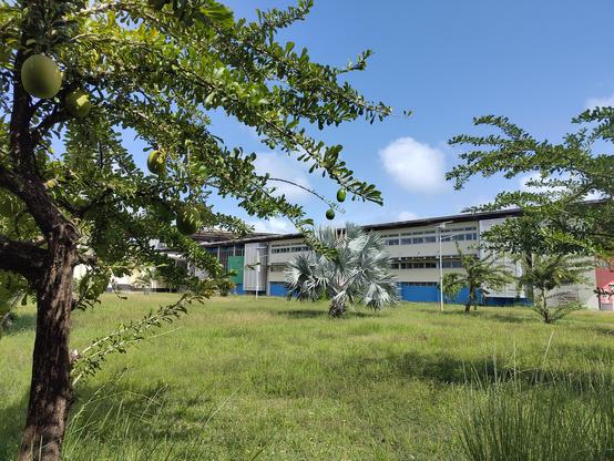 Campus verdoyant de l'université de Guyane le 29 avril