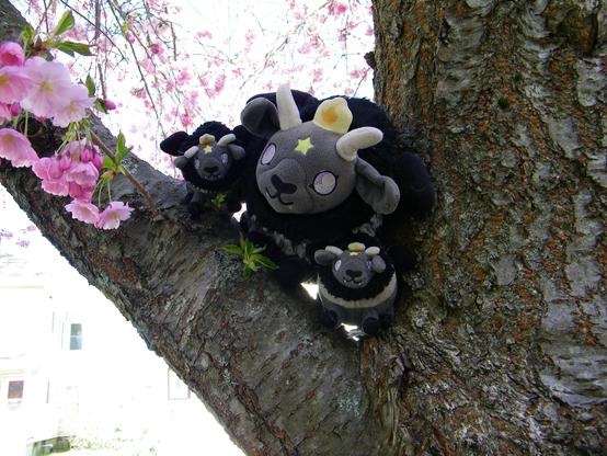 Three plush Baphomets (gray and black goats with wings) -- one big and two small -- on an crab apple tree branch, admiring the pink blossoms.