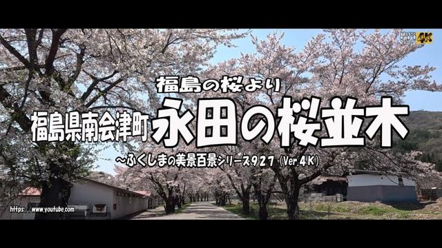 福島の桜より  ～福島県南会津町　永田の桜並木～ Ｖｅｒ.  4Ｋ