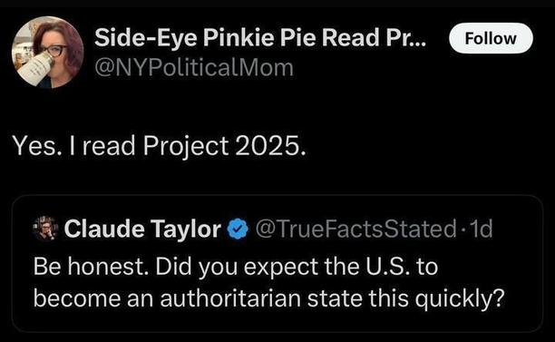 A tweet from Side-Eye Pinkie Pie Read Pr... (@NYPoliticalMom

) reads: "YES. I read Project 2025." It quotes a tweet from Claude Taylor (@TrueFactsStated

) posted 1 day ago: "Be honest. Did you expect the U.S. to become an authoritarian state this quickly?" The profile image for Side-Eye Pinkie Pie shows a person with red hair holding a tumbler, and Claude Taylor's profile image shows a person with glasses.