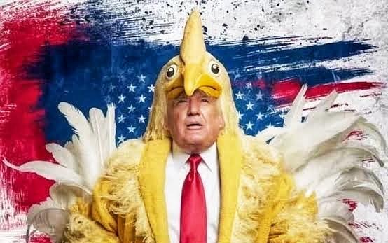 Trump dressed as a chicken.