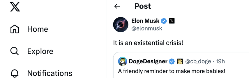 A post on Twitter by the DOGE-Y EM stating "It is an existential crisis," retweeting, "A friendly reminder to have more babies!"