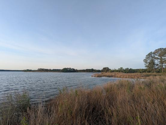 Photo of a calm morning sunrise over Harris Creek, sun rising low offscreen to the left behind a wispy high level cloud deck. Part of a bright solar Arc is seen to the right. Marsh is green with new Spring growth. Creek water is rippled and reflects the sun and clouds.