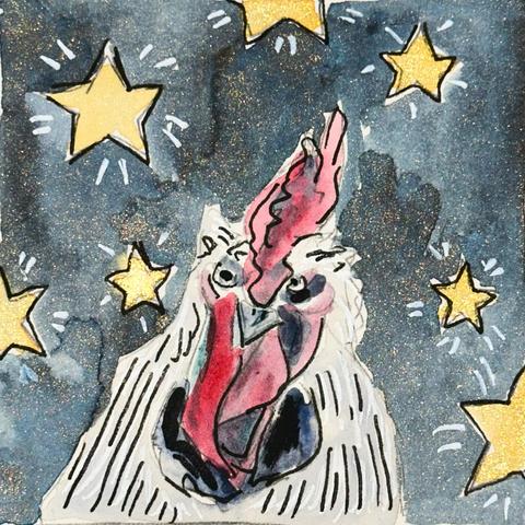 A white rooster with red comb and waddles leads before a sparkly background of stars.