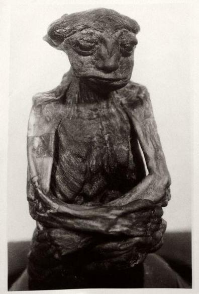 The photo shows a mummy found somewhere in the area that, according to conspiracy theorists, is a real mummified Nirumbee. photo source: Casper Star-Tribune