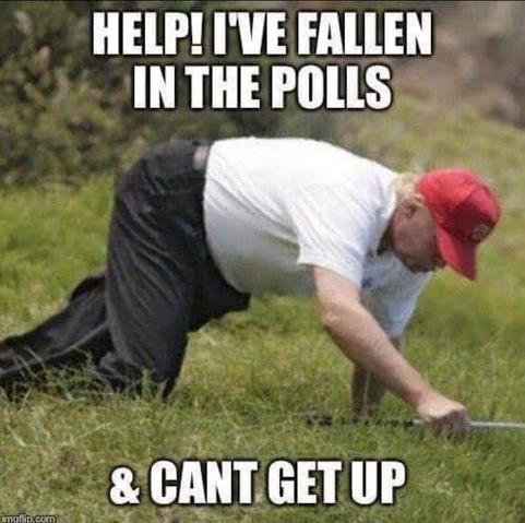 Photo of Donald Trump on the ground at a golf course. His golf club is in front of him on the ground, and he seems to be crawling. Meme text reads, "Help! I've fallen in the polls and I can't get up."