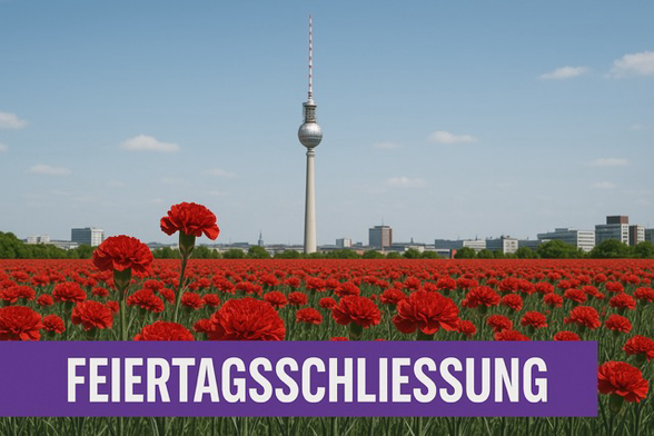 Ein Feld roter Nelken, im Hintergrund der Fernsehturm